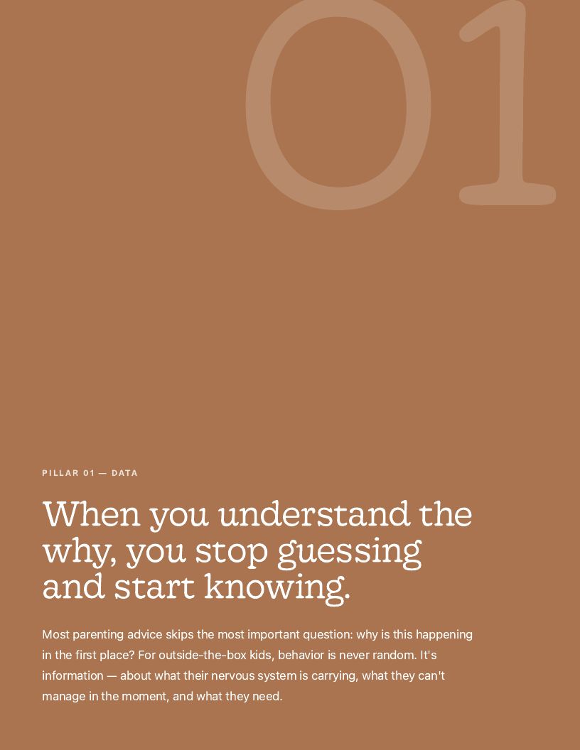 Precision Parenting Framework page 8