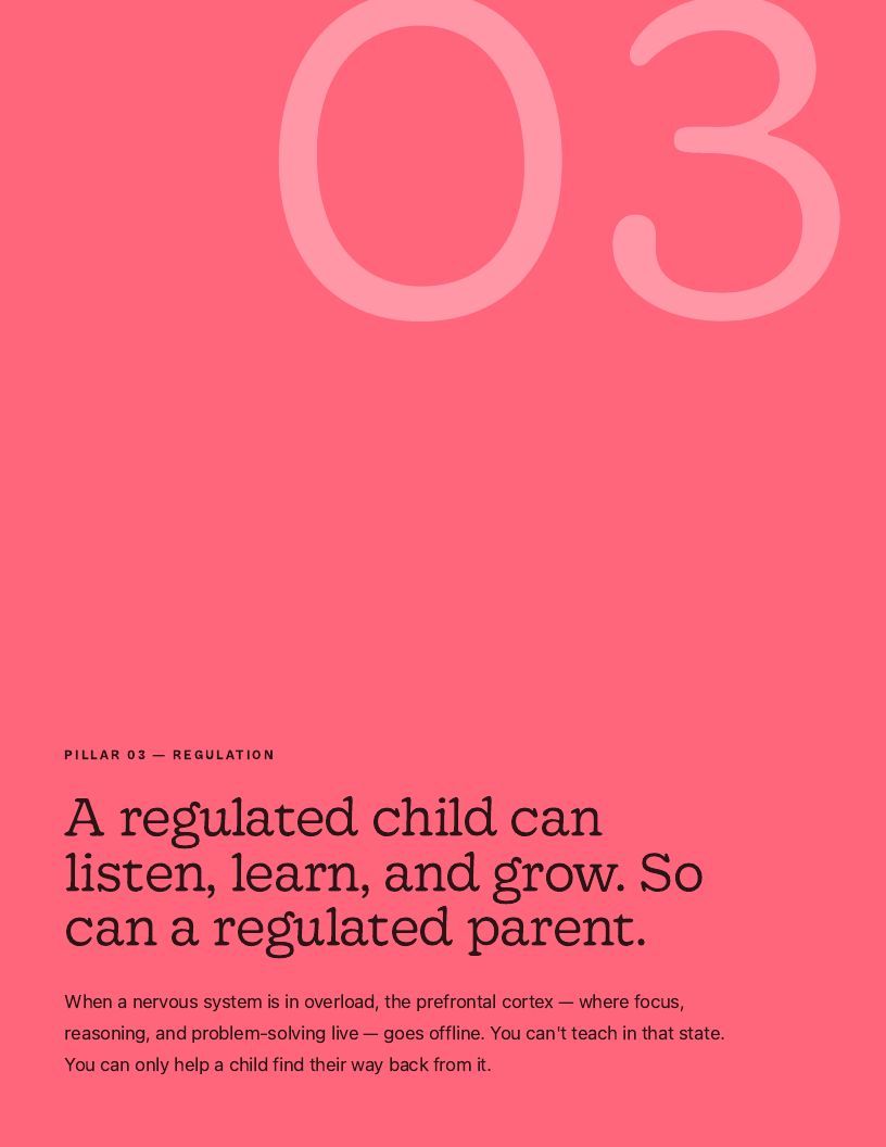 Precision Parenting Framework page 12