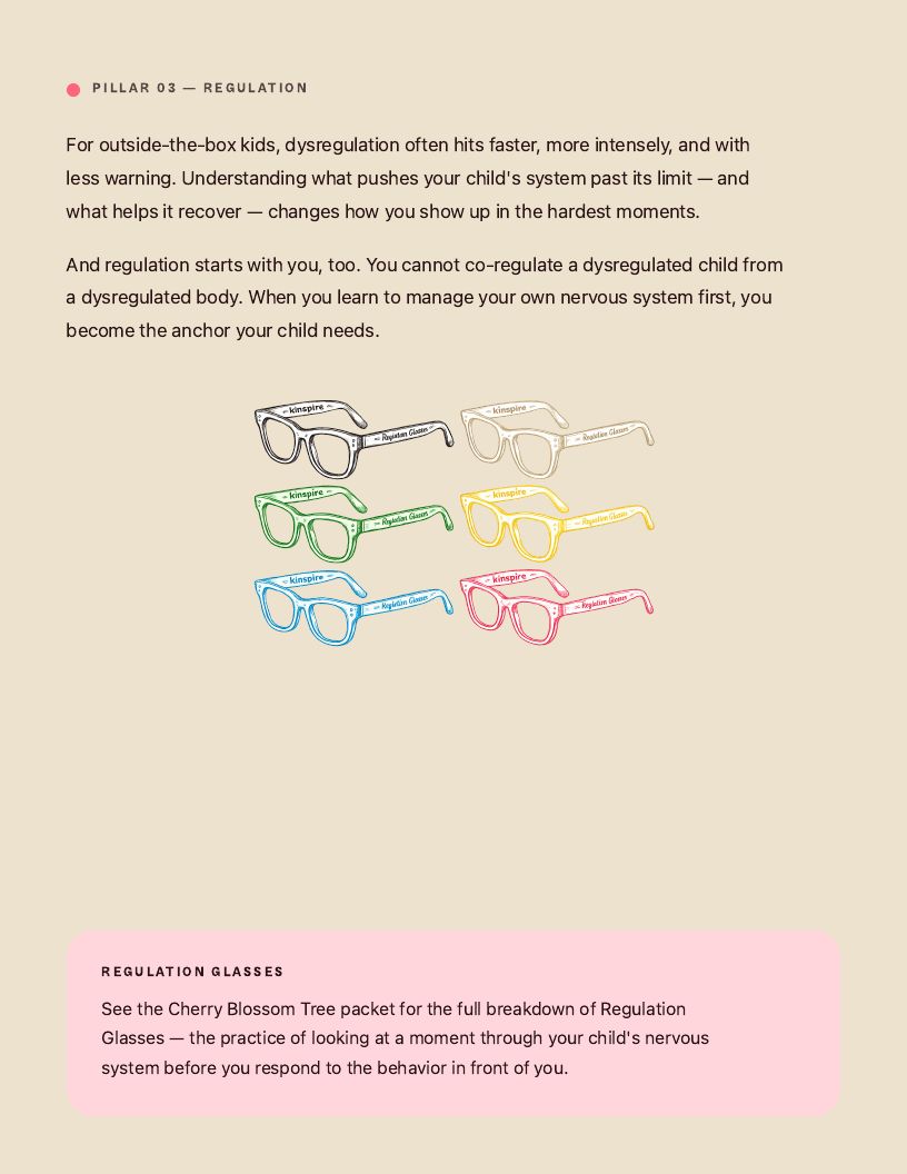 Precision Parenting Framework page 13