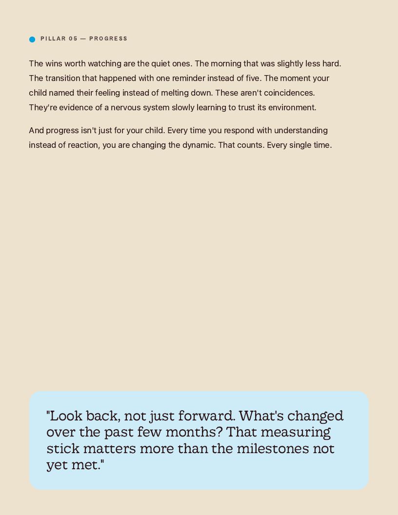 Precision Parenting Framework page 17