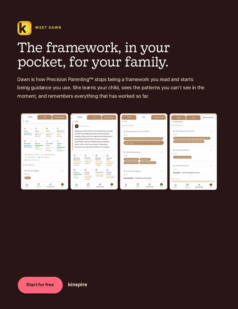 Precision Parenting Framework page 20